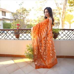 Tangerine Chiffon Banarsi Saree SSB-0003