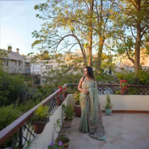 Pastel Green Chiffon Banarsi Saree Double Zari SSB-0006