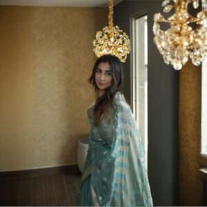 Sky Blue Chiffon Banarsi Saree SSB-0010