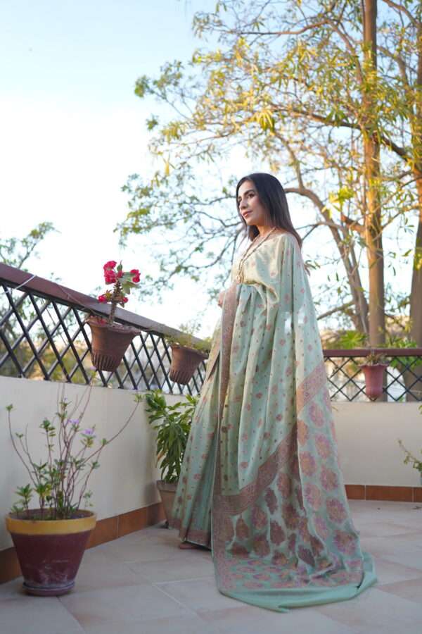 Pastel Green Chiffon Banarsi Saree Double Zari SSB-0006