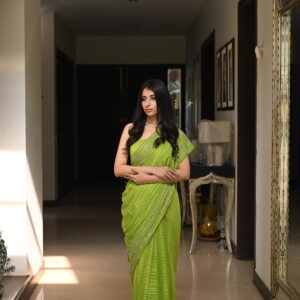 Parrot Green Self Chiffon Rhinestones Borders Saree SSRS - 0012