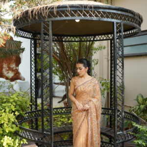 Toffee Shade Sequins Saree SS-0026