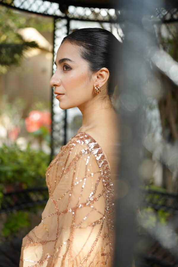 Toffee Shade Sequins Saree SS-0026