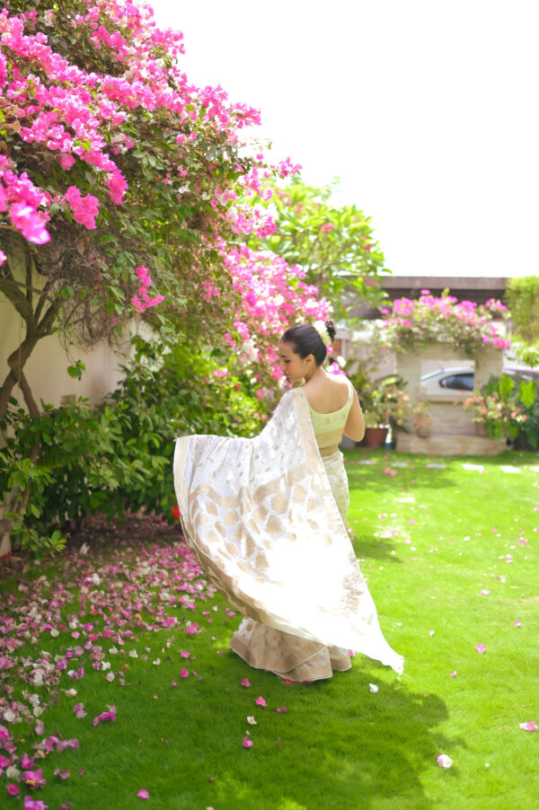White golden Chiffon Banarsi Saree Double Zari SSB-0012