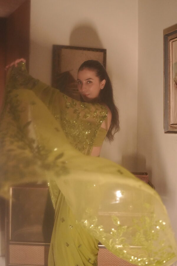 Pear Green Double Border Sequins Saree SSDB-0009