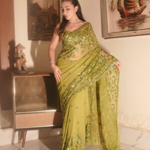 Pear Green Double Border Sequins Saree SSDB-0009