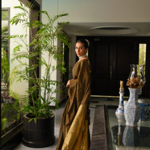 Brown Cotton Banarsi Saree SCB-002