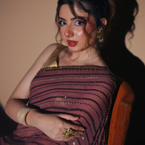 Brown Saree Embellished with Sequins, Cutdana & Beads SSHC-00018