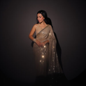 Beige Golden Sequins Saree SS-0028