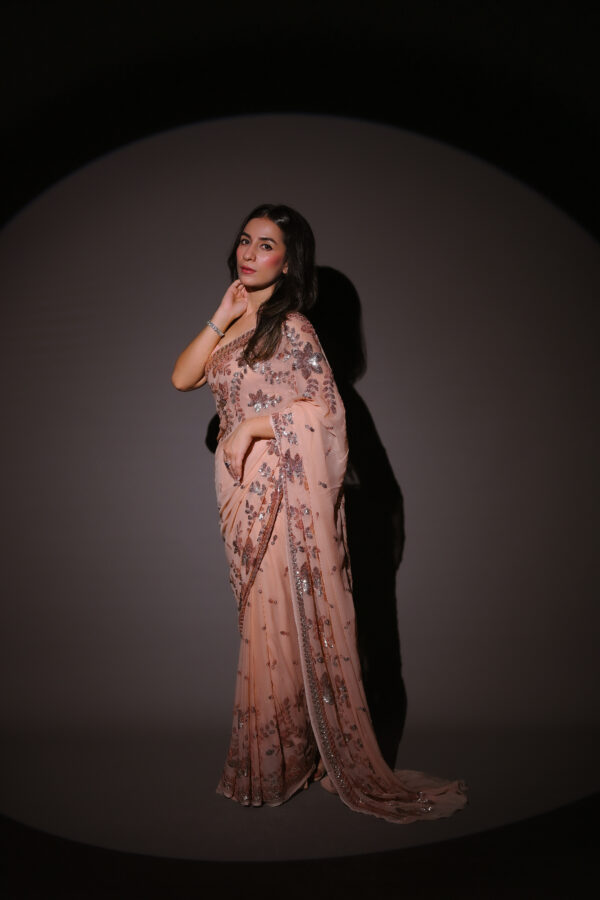 Double Border Sequins Saree SSDB-0011