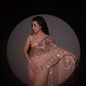 Double Border Sequins Saree SSDB-0011