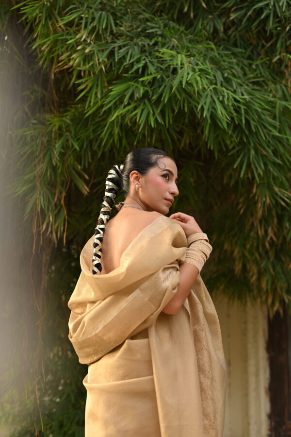 Golden Crush Tissue Banarsi Saree SCT-01