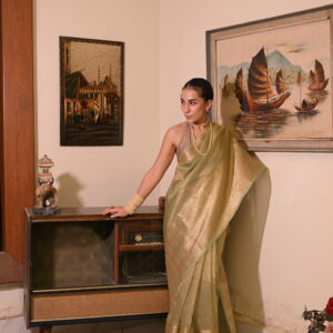 Pastel Green Crush Tissue Banarsi Saree SCT-02