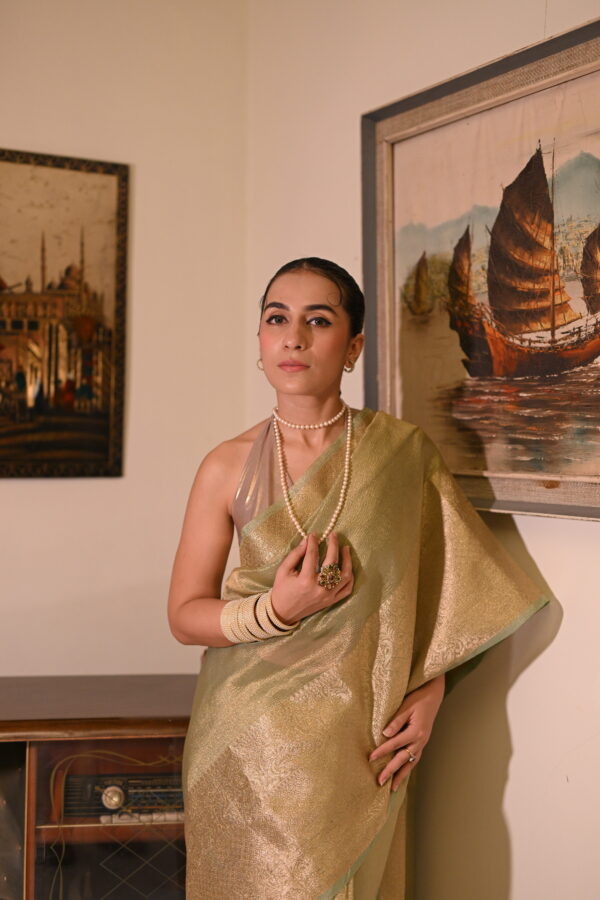 Pastel Green Crush Tissue Banarsi Saree SCT-02