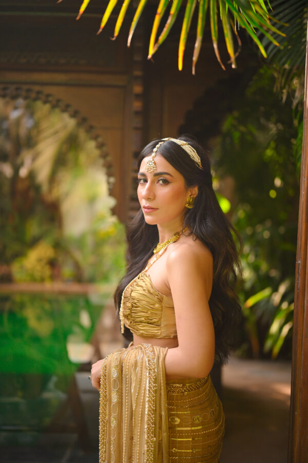 Golden Apsara Saree Embellished with Sequins, Cutdana & Beads SSHC-00020