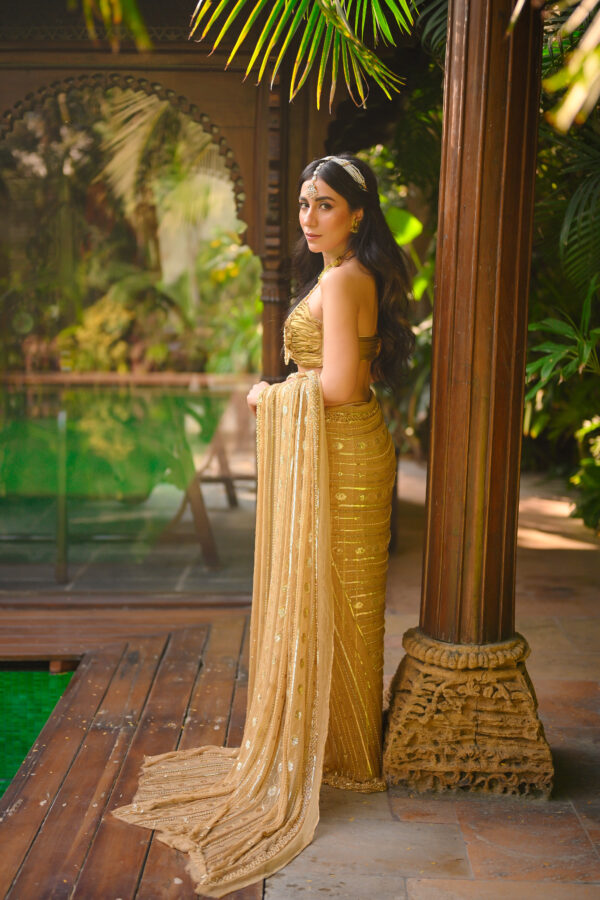 Golden Apsara Saree Embellished with Sequins, Cutdana & Beads SSHC-00020