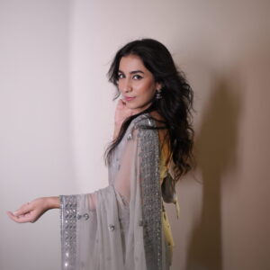 Silver Double Border Saree SSDB-0015