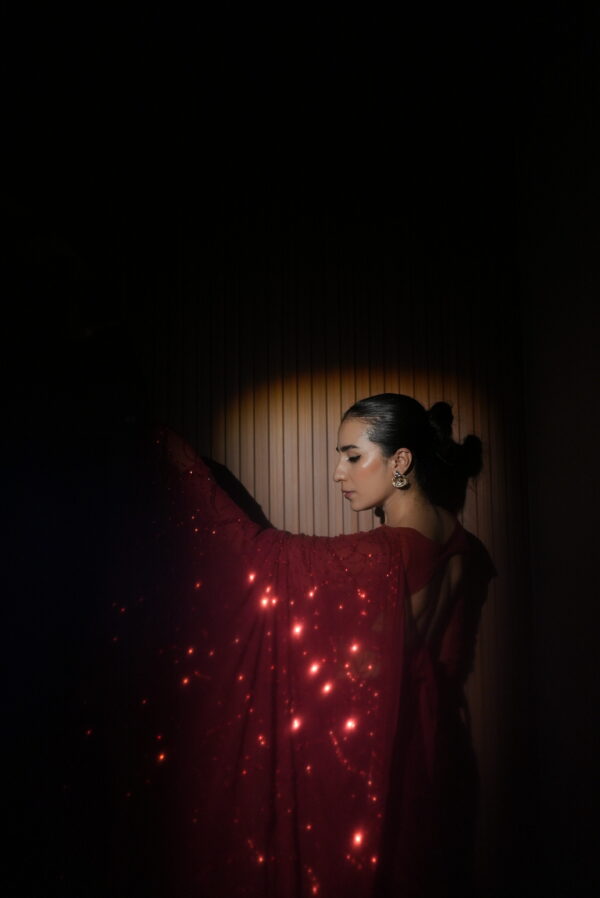 Red Jaal Sequins Saree SS-0038