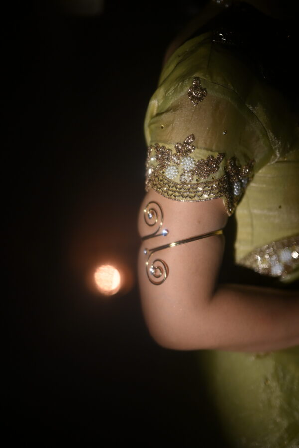 Dusky Gold Fendi Silk Saree FS-01